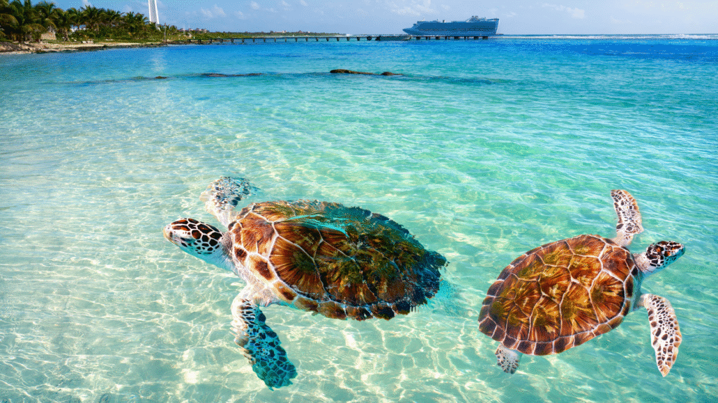 caribbean-sun-n-ski-holidays